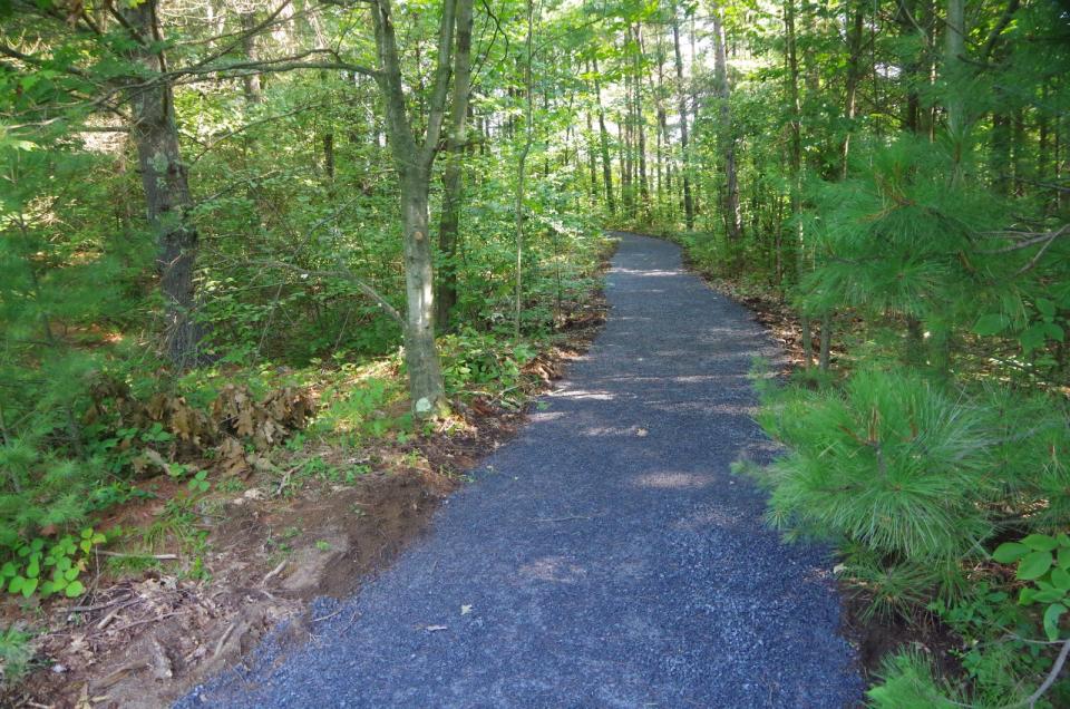 A packed, crushed gravel path, accessible for wheelchairs, winds through a forest.