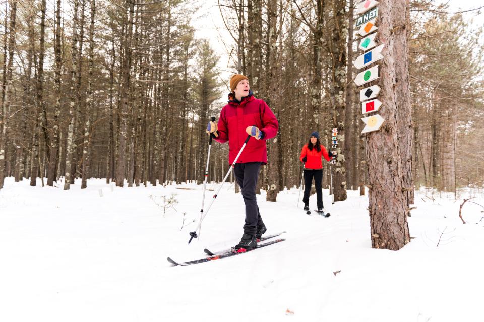 Two people ski amongst trees and look at directional signs on a tree
