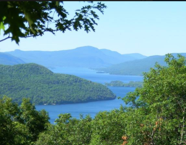 The view of a lake through trees