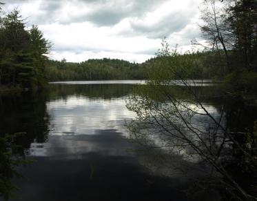 Round Pond is a quiet gem of a pond.