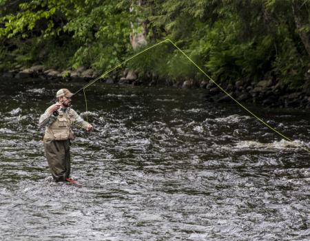 A fly fisherman casting in the water