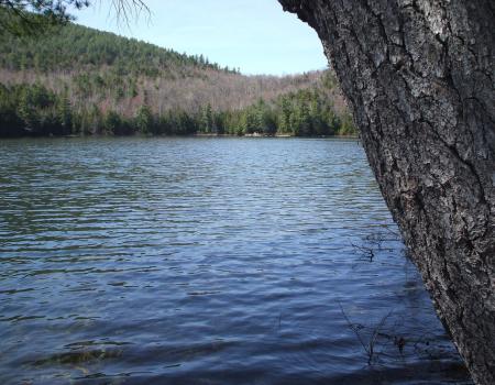 Clear Pond is a beautiful pond in a wilderness setting.