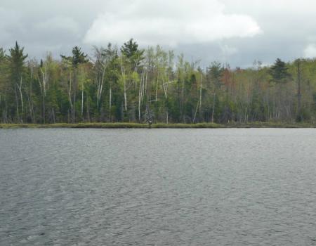 This tranquil pond is well sheltered.