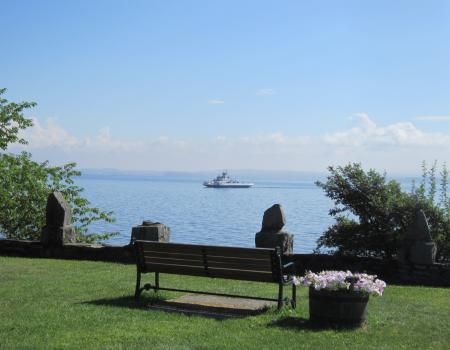 A park bench by the lake