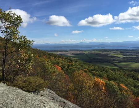 A fall view from a short peak of surrounding woods and a lake