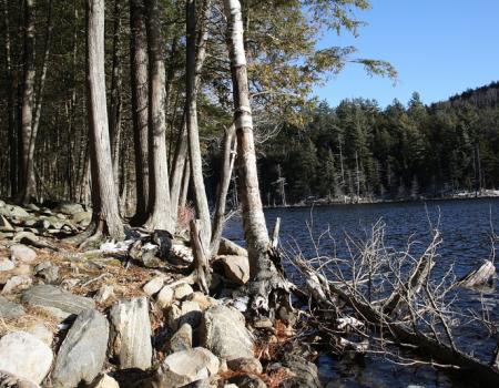 Hike to Grizzle Ocean on this fun loop.