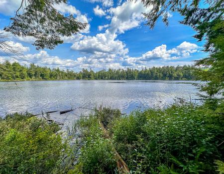 Clear Pond