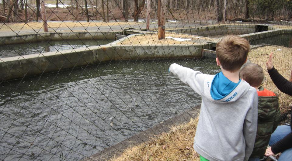 Children love to visit.