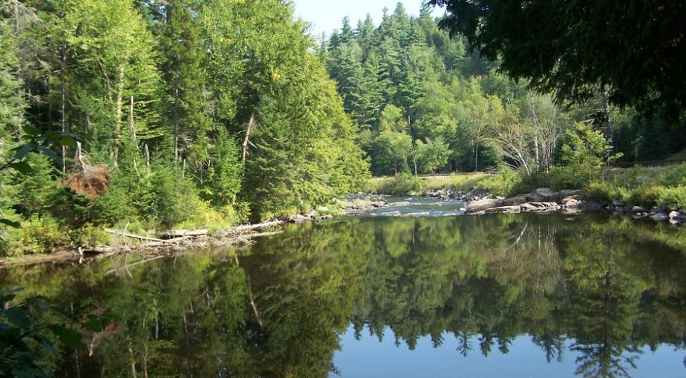 A view of a calm river