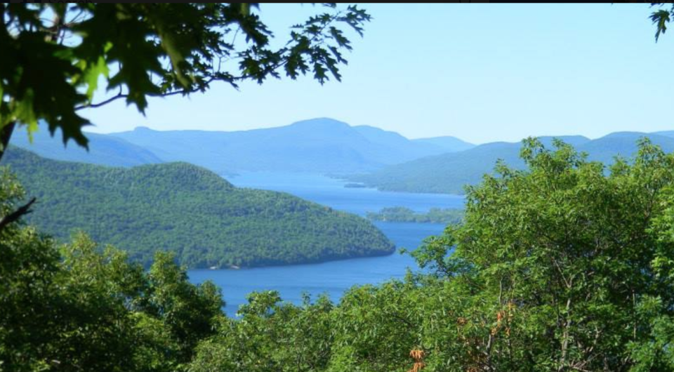 The view of a lake through trees