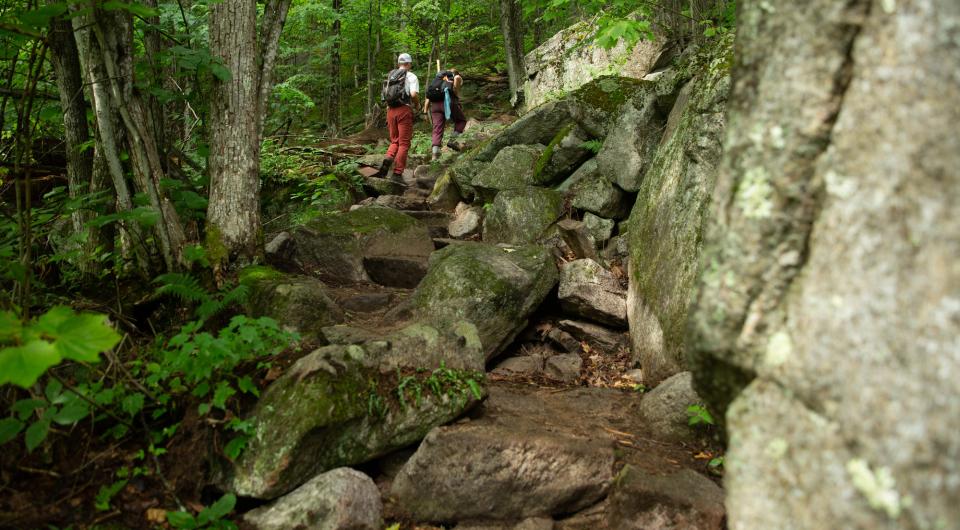 A new hiking trail with some hikers