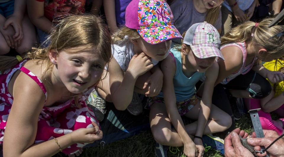 Kids learn about spring migration.