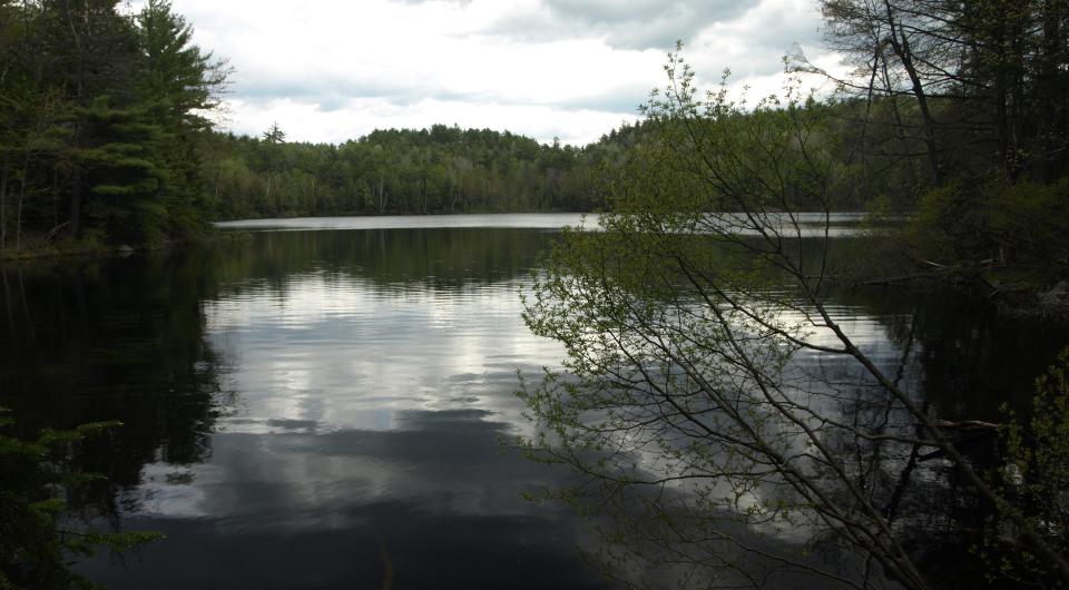 Round Pond is a quiet gem of a pond.