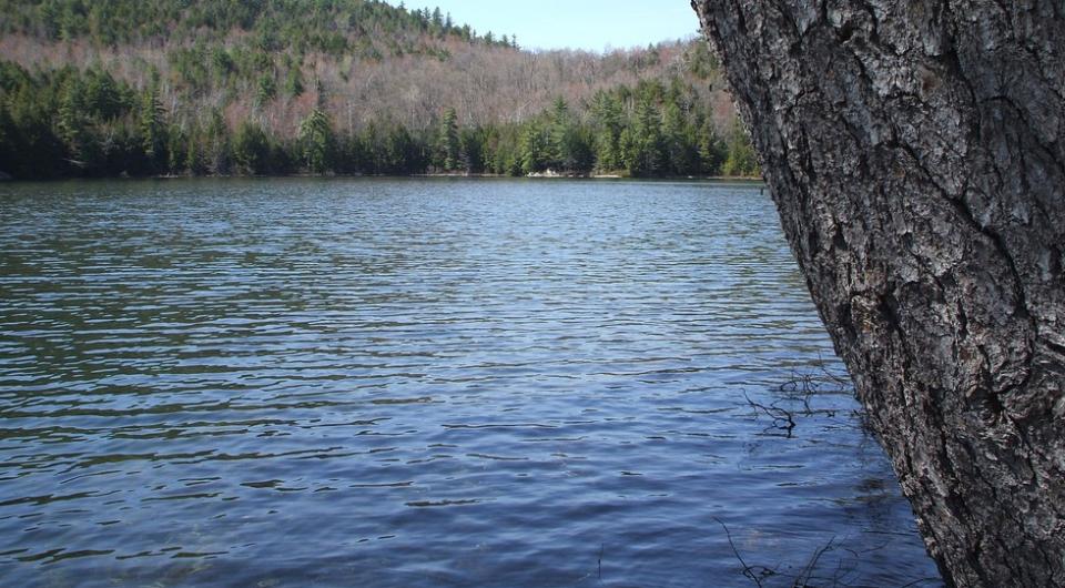 Clear Pond is a beautiful pond in a wilderness setting.