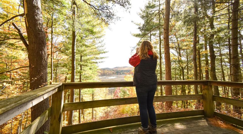 A birder at a wooden viewing platform in Wickham Marsh.