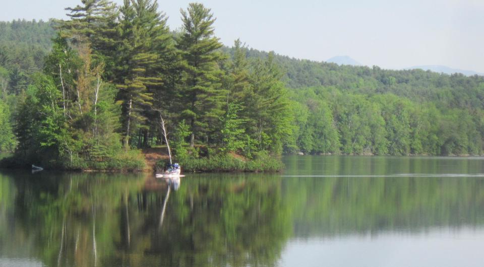 An island on a pond