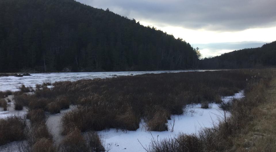 These wetlands in the Hammond Pond Wild Forest are an important part of the Adirondacks ecosystem.