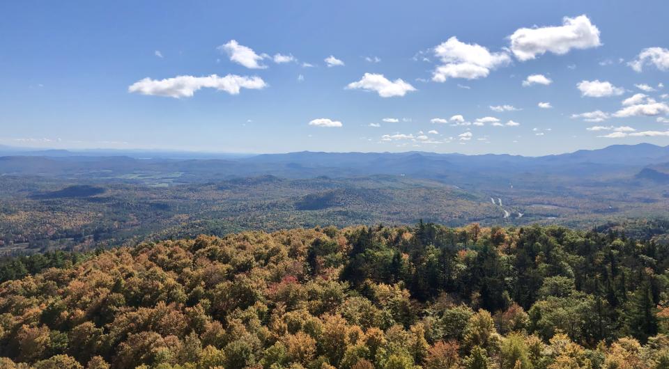 A view of a colorful autumn forest