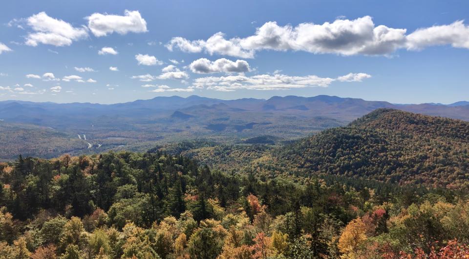 A fall view of colorful trees