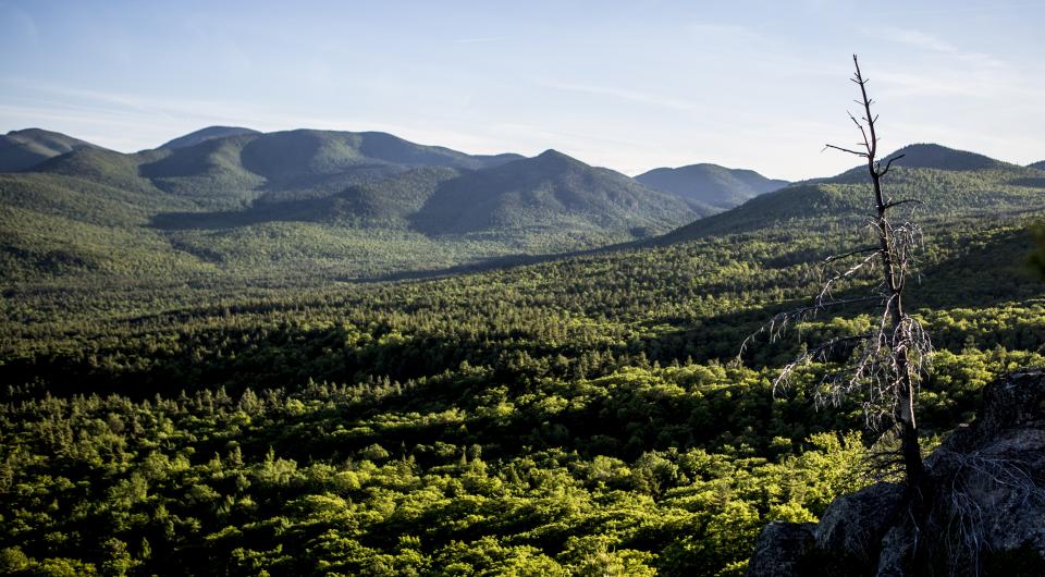 Wonderful views of the Giant Mountain Wilderness.