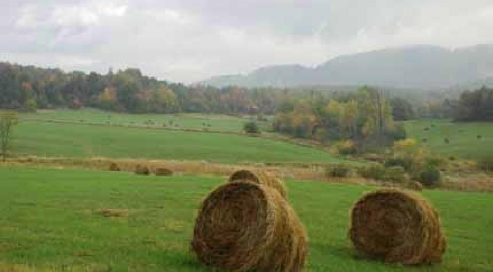 Hay bails near the Woods and Swale Trail