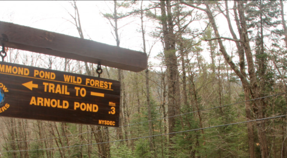 A yellow and brown sign for Arnold Pond