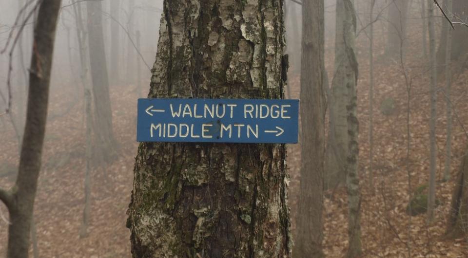 A blue sign on a tree for hiking destinations in the Pole Hill Pond Preserve.