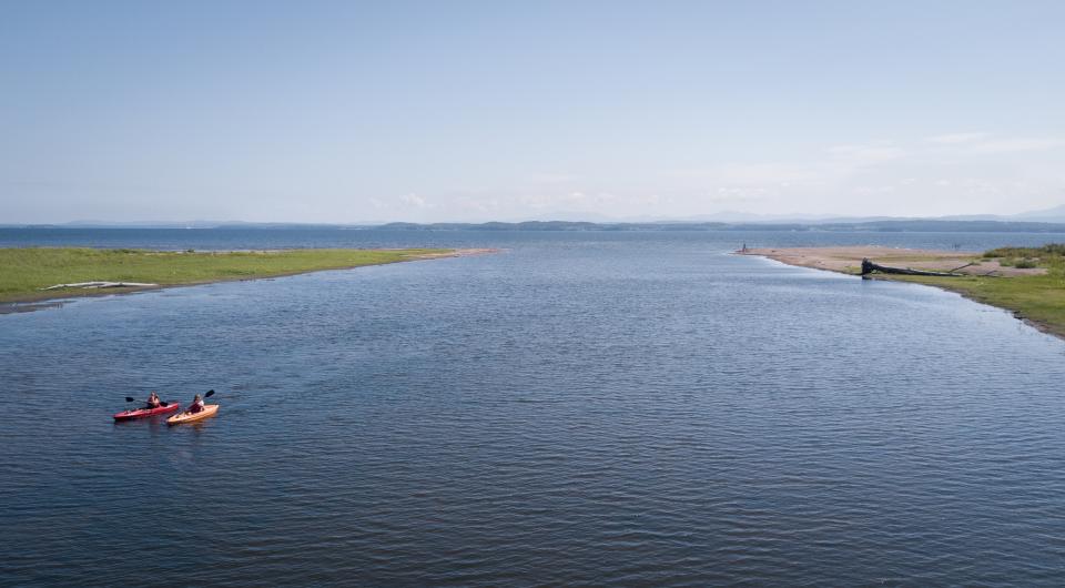 Plenty of room to explore the shore.