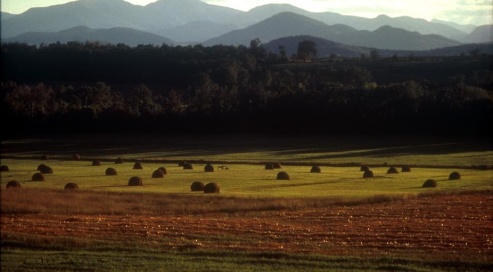 Mountains behind a large field