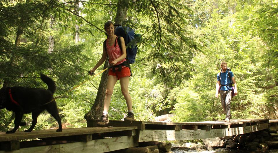 Some areas have hiking helps&#44; like these bridges over wetlands.