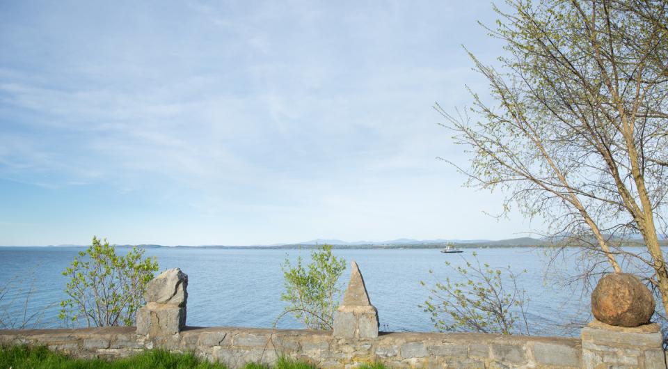 The view of a large lake from a park