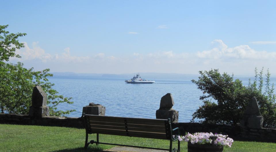 A park bench by the lake