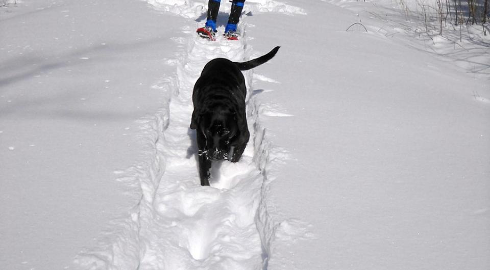 Nature and birding trails at Noblewood are open year round.