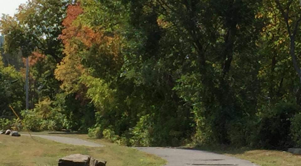 A paved path in the fall