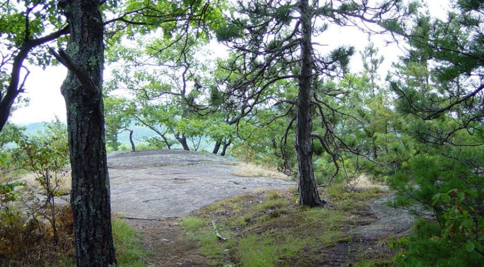 The view starts opening up on the viewing ledge for Blueberry Cobbles.