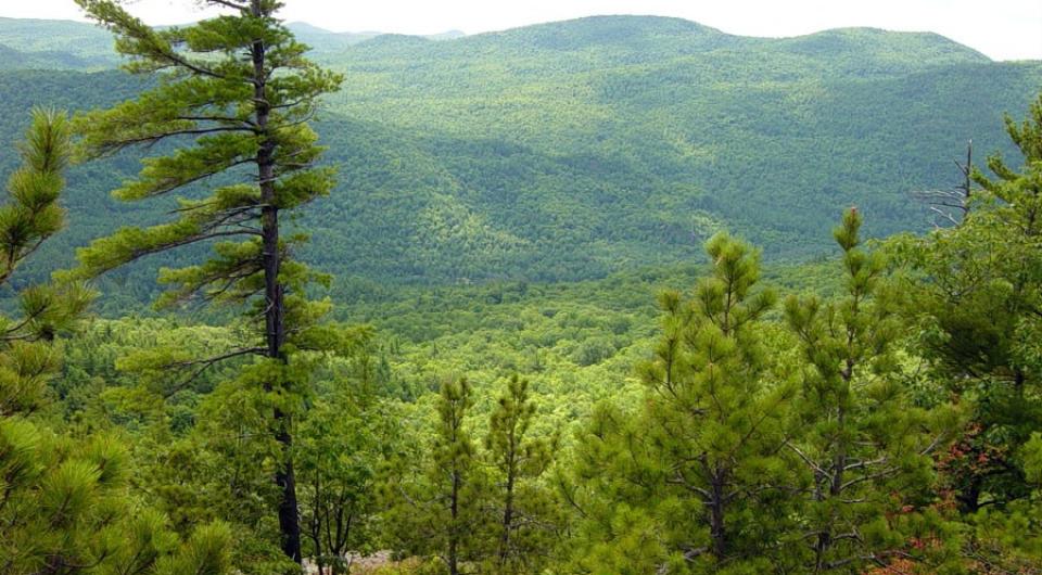 Wonderful views on a hike most of the family can enjoy.