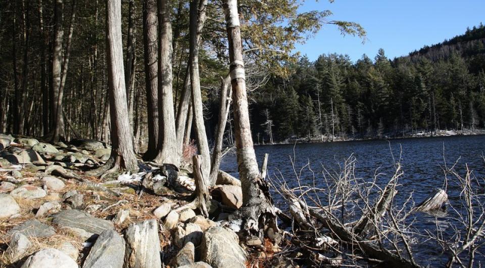 Hike to Grizzle Ocean on this fun loop.