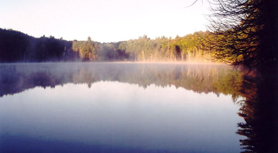 Grizzle Ocean is a lovely backcountry pond.