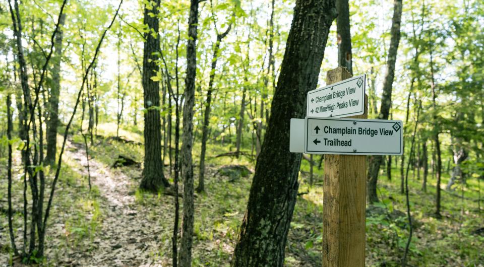 A sign post with signs for trails