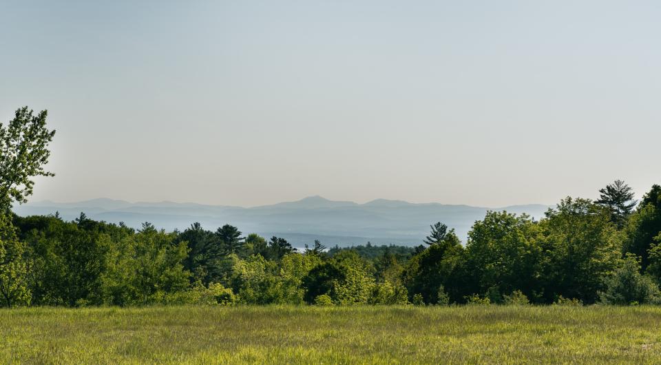 The view of hazy mountain from an open meadow