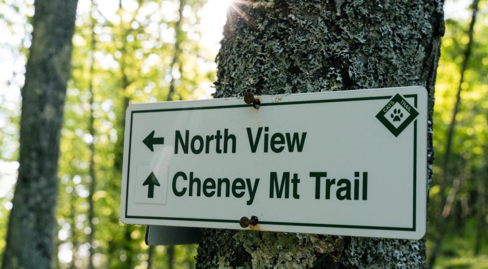 A sign for Cheney Mountain trail