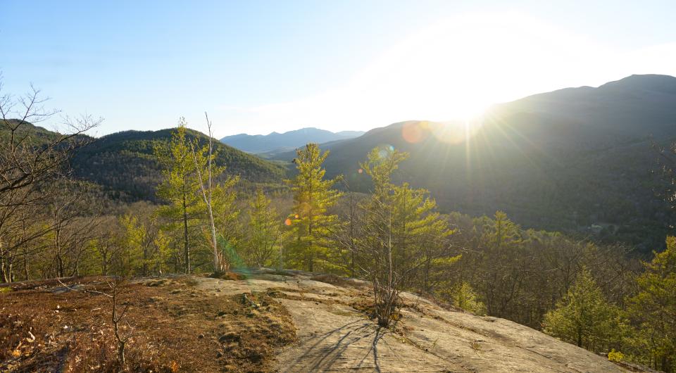 A sunny view from Mount Gilligan