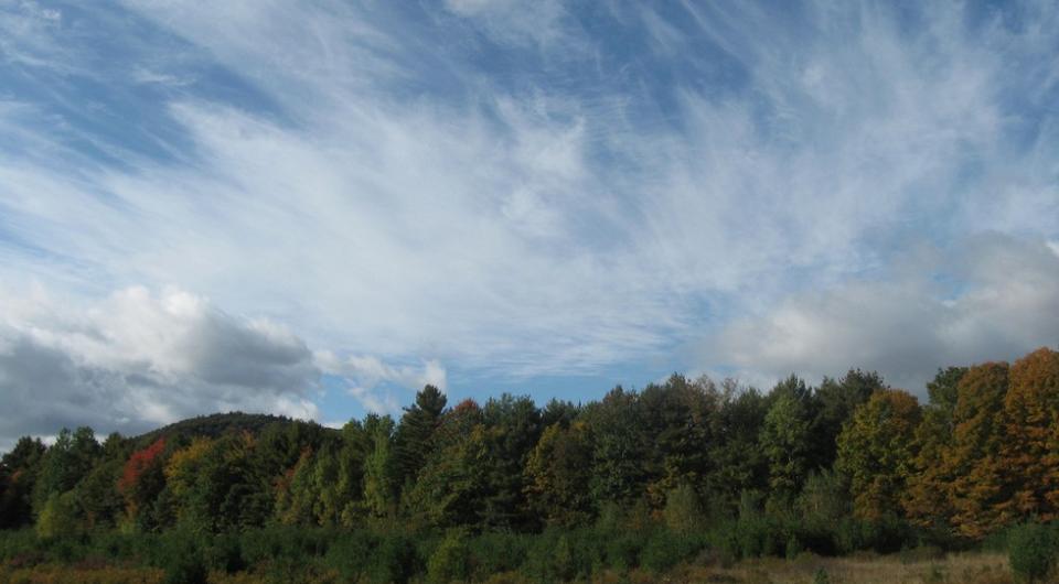 A sky with interesting clouds