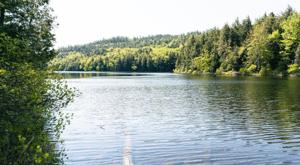 A view over a small pond