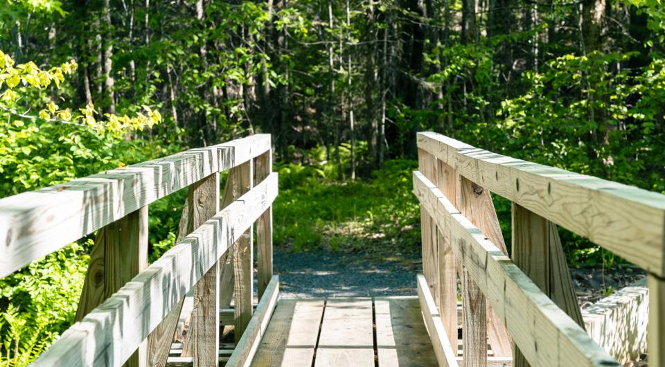 A new bridge on a hiking trail