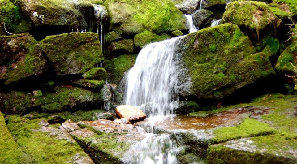 A small water cascade over rocks