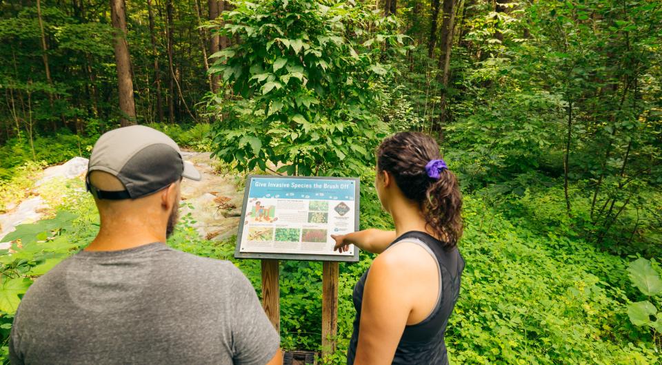 A couple looks at an interpretive sign next to a trail