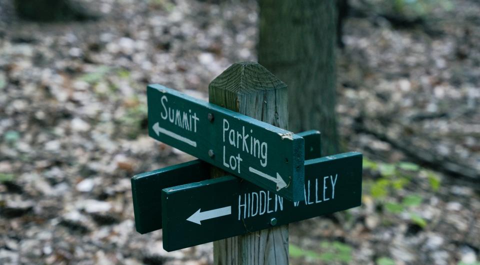 A couple green signs with white lettering on a wooden post