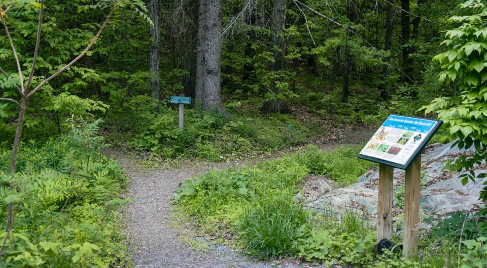 An interpretive sign next to a trail