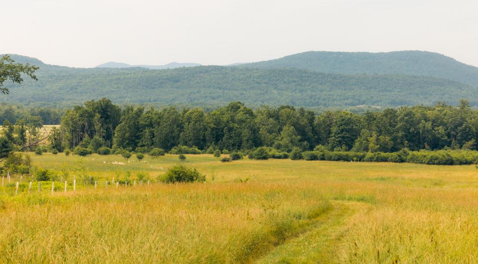 A wide open field with short mountains in the background